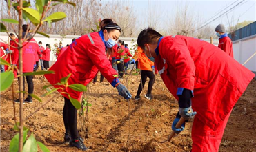 同植绿色 播种希望--金乡公司组织开展植树活动