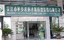 中国首家民营小贷公司登纳斯达克